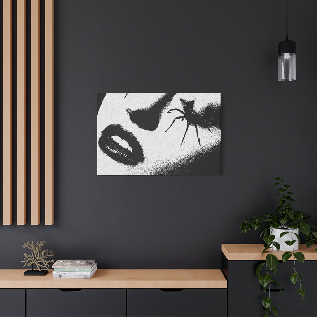 Canashi Art