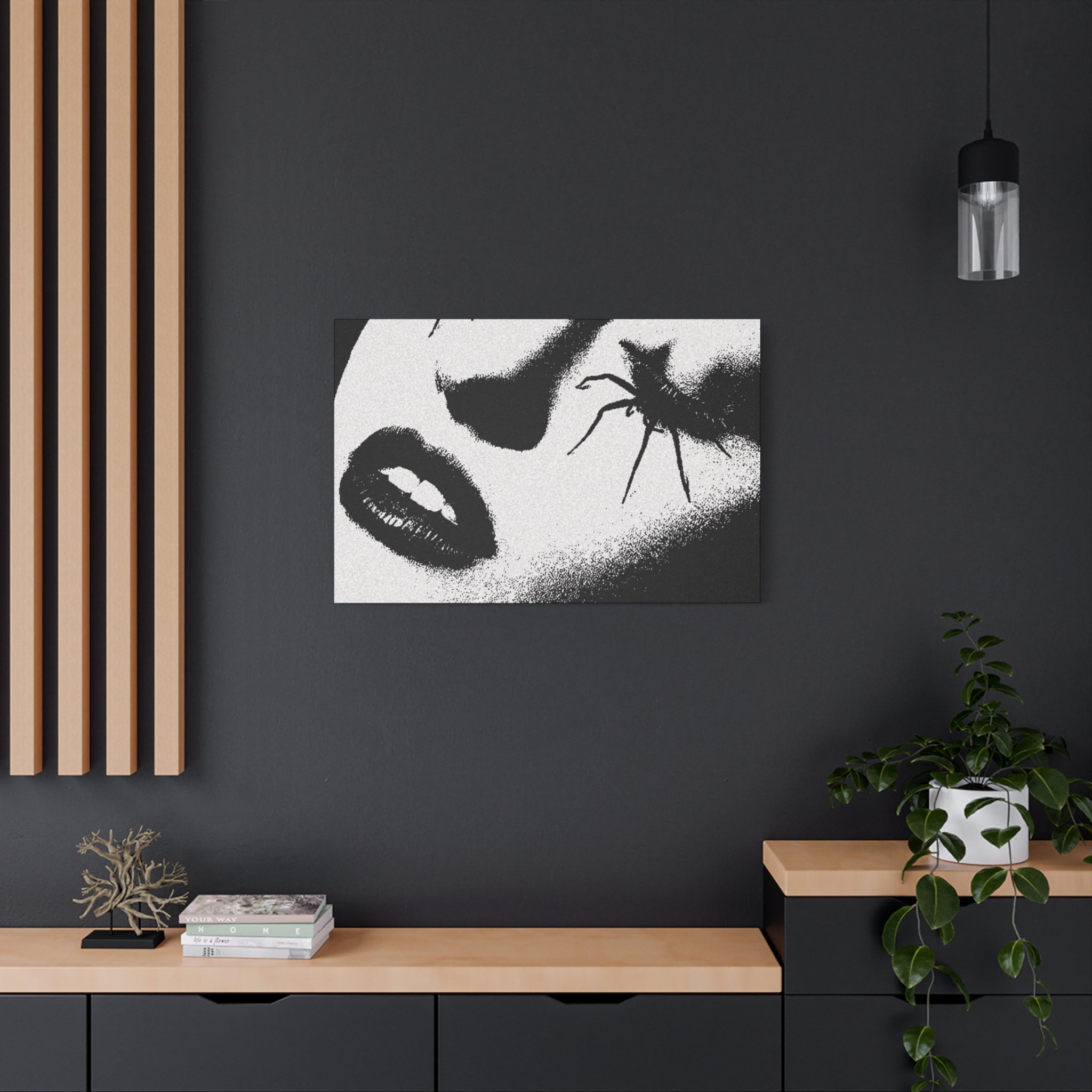 Canashi Art
