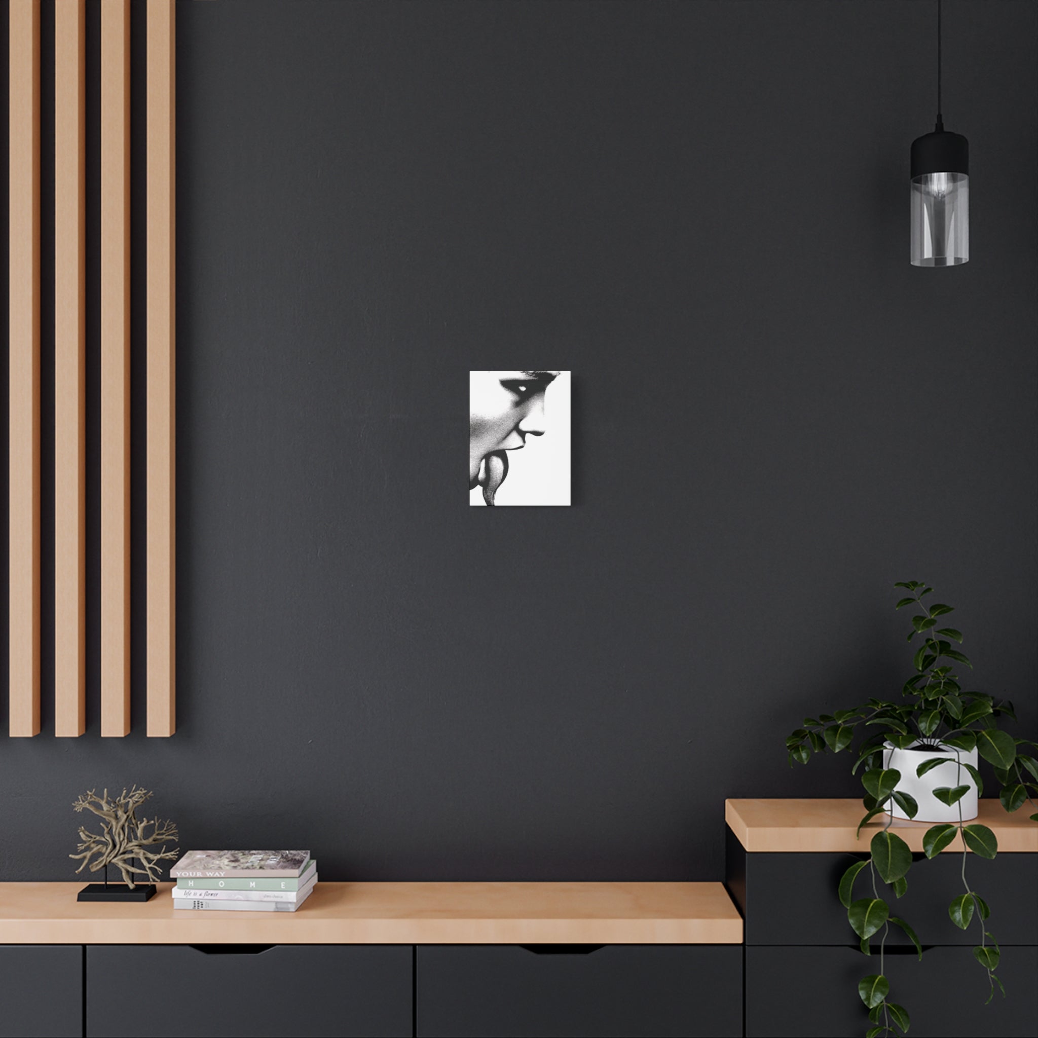 Canashi Art